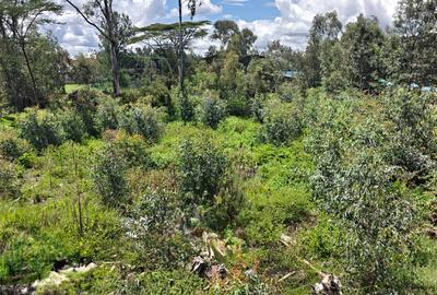 0.75 ac Land in Karen - 3