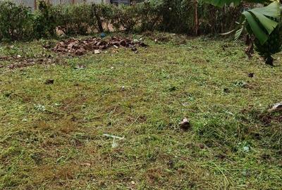 Land in Kinoo - 4
