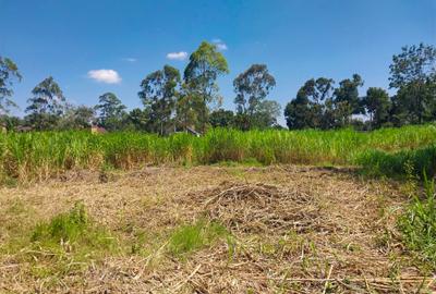 0.5 ac Land in Ridgeways