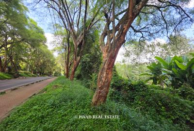 2.3 ac Land in Kitisuru - 2