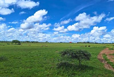 0.125 ac Residential Land at Kitengela - 4