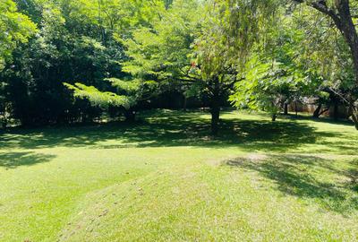 Residential Land in Lavington - 4