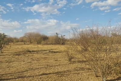31 ac Land at Sekenani