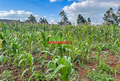 0.05 ha Commercial Land at Sigona - 3