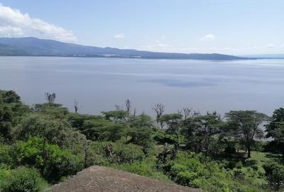 Land in Naivasha