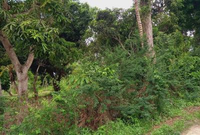 1 ac Land in Kikambala - 4