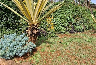 Commercial Land at Westlands - 2