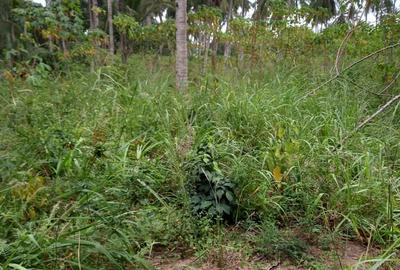 6 m² Land at Bomani - 4