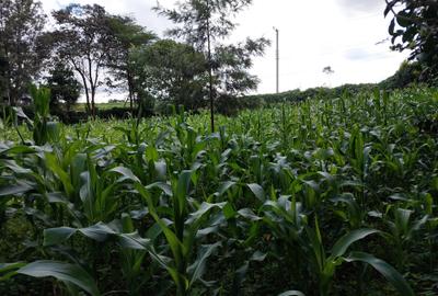 Land at Kirawa Road - 2