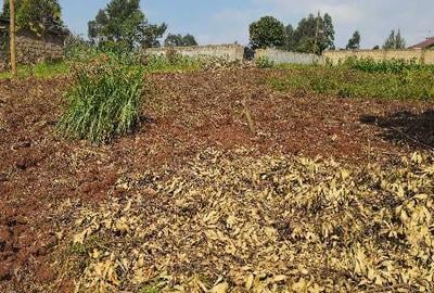 10 ac Land at Kirawa Road - 4