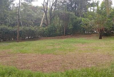 Commercial Land in Kilimani - 3