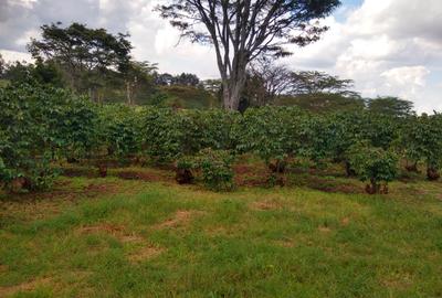 100 ac Land at Kiambu Road