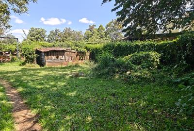 1.1 ac Land in Karen - 3
