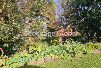 5 Bed House with En Suite in Nyari - 4