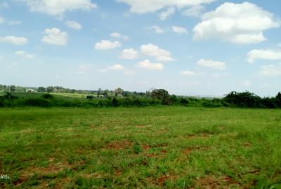 Residential Land in Runda - 4
