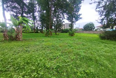 0.8 ac Land at Mumbi Road