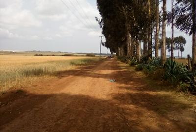 Land at Timau