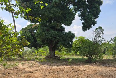6 ac Land at Mtwapa - 4