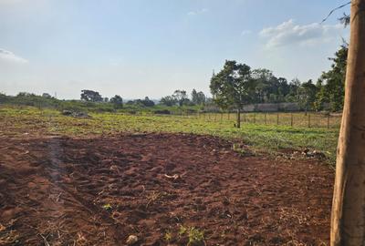 0.76 ac Residential Land in Runda