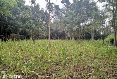 4,044 ac Residential Land at Runda Grove