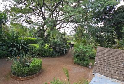 2 Bed Apartment with Backup Generator in Rosslyn