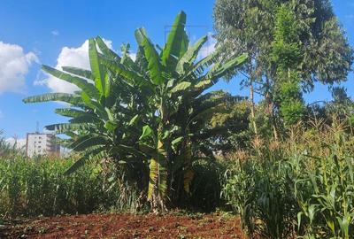 0.25 ac Residential Land in Ruaka - 3