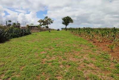 5,000 ft² Land at Malindi Muungano