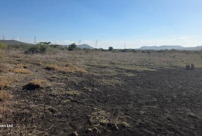 49 ac Land at Olooshoibor - 3