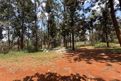 0.75 ac Residential Land at Thindigua