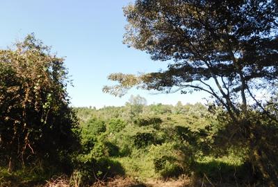 Residential Land in Karen Hardy