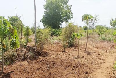 Land at Vipingo - 3