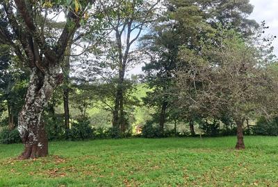 4 Bed House with En Suite in Tigoni - 4