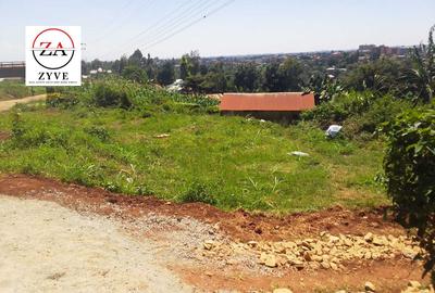 0.25 ac Land at Rwaka