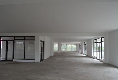 Commercial Property in Karen