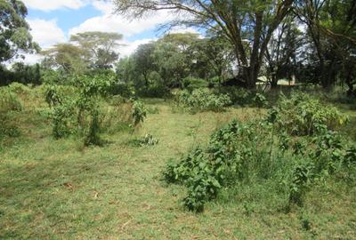25 ac Land at Moi S Lake Rd - 4