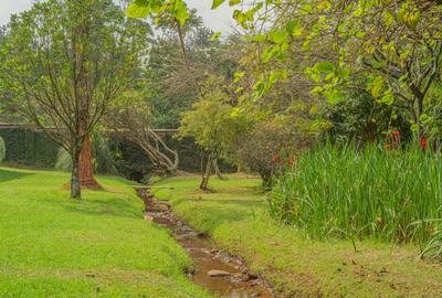 4 Bed Villa with En Suite in Runda - 3