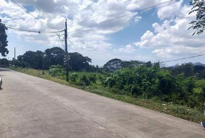 Residential Land at Willow Street