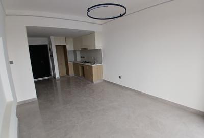 1 Bed Apartment with En Suite at Kilimani