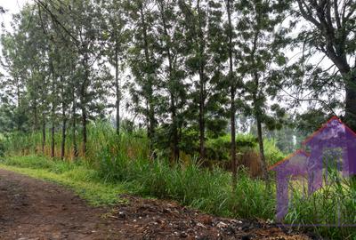 0.5 ac Land at Karen Road - 3