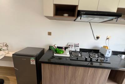 Studio Apartment with Gym in Lower Kabete - 3