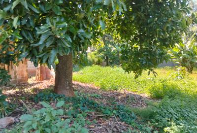 0.5 ac Land at Karen