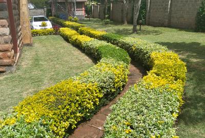 2 Bed House with Garden in Karen - 3