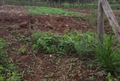 486 m² Residential Land in Ngong