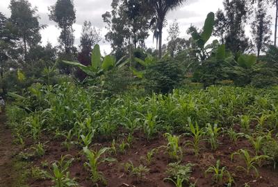 1.25 ac Land in Ngong