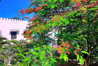 4 Bed House with En Suite at Aloo Drive- Mtwapa Creek - 3