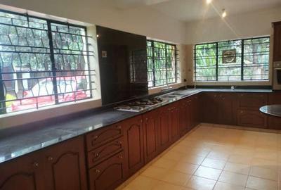 Commercial Property with Backup Generator at Private Hospital And Consultant Office