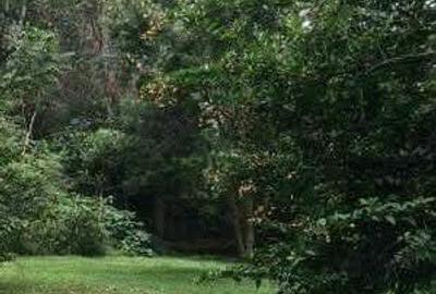 Land at Windy Ridge - 4