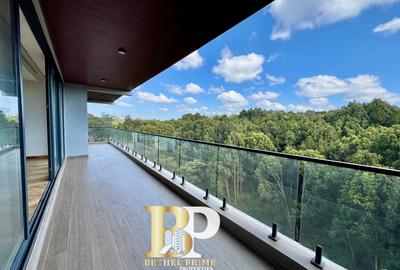 4 Bed Apartment with En Suite in Spring Valley - 2