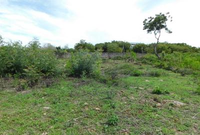 10,000 ft² Land at Vipingo