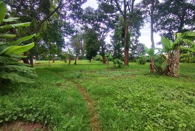 0.8 ac Land at Mumbi Road